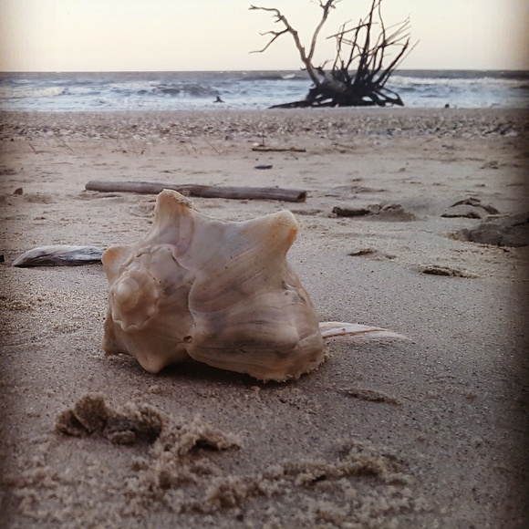 Meet your Posher, Sarah - Picture 1 of 1